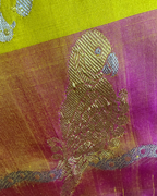 The Solar Parrot Drape | Pure Handloom Silk