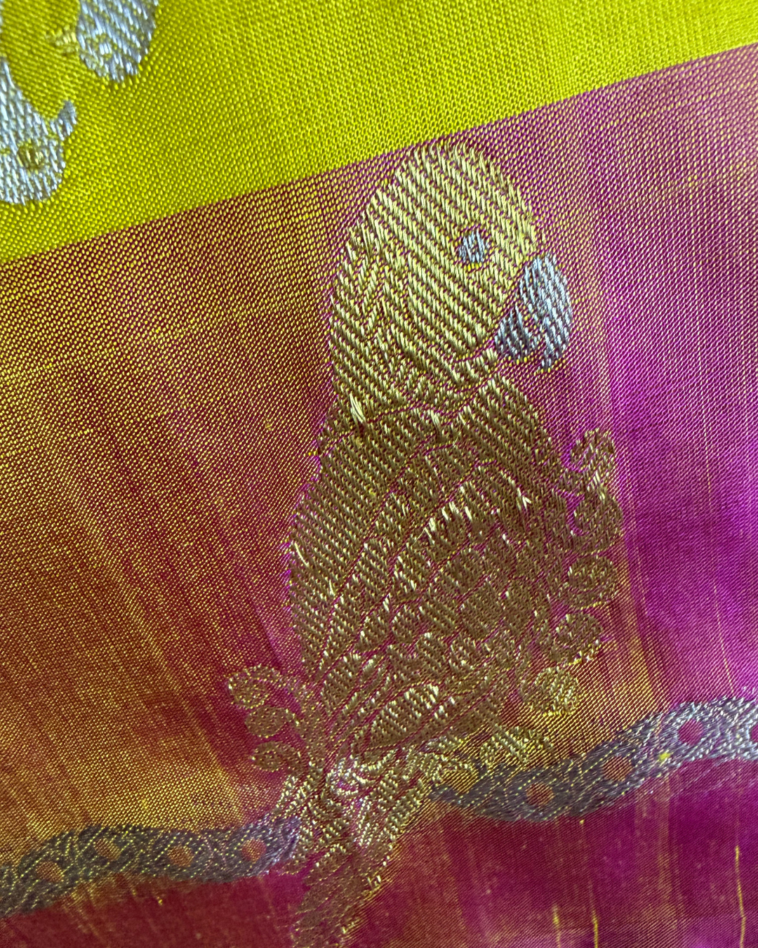 The Solar Parrot Drape | Pure Handloom Silk